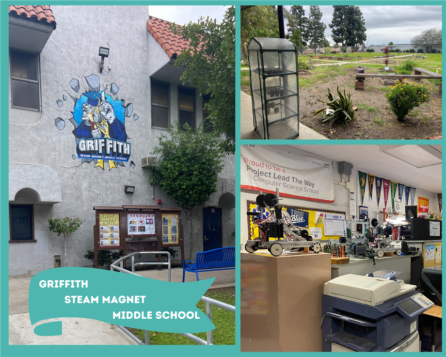 Middle School